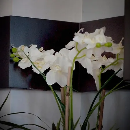 Appartement Harbor *