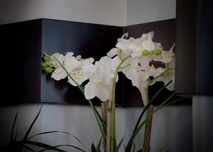 Appartamento Harbor *